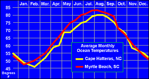Average Monthly Ocean temperature